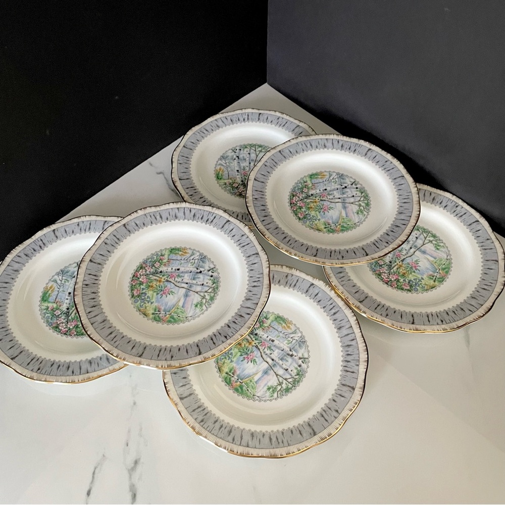 SET of 6 Silver Birch Salad or Dessert Plates by Royal Albert - Picture 5 of 6